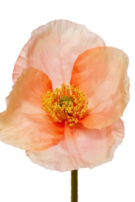 24" Silk Poppy Spray Salmon