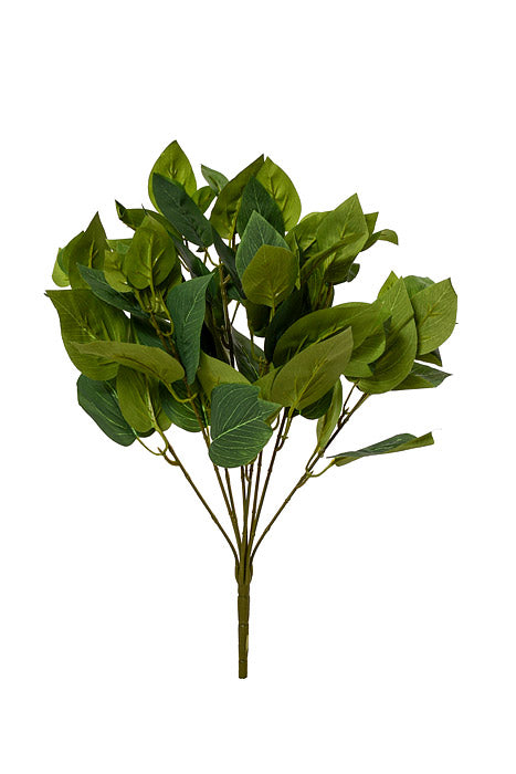 17.75" Potato Leaf Bush Green