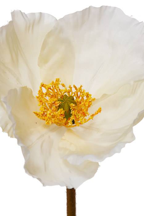 24" Silk Poppy Spray Cream