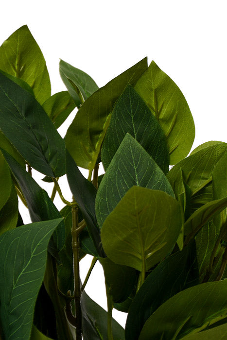 17.75" Potato Leaf Bush Green