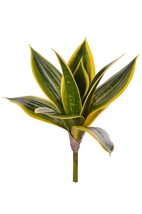 9" Mini Sansevieria Plant Gree/Cream