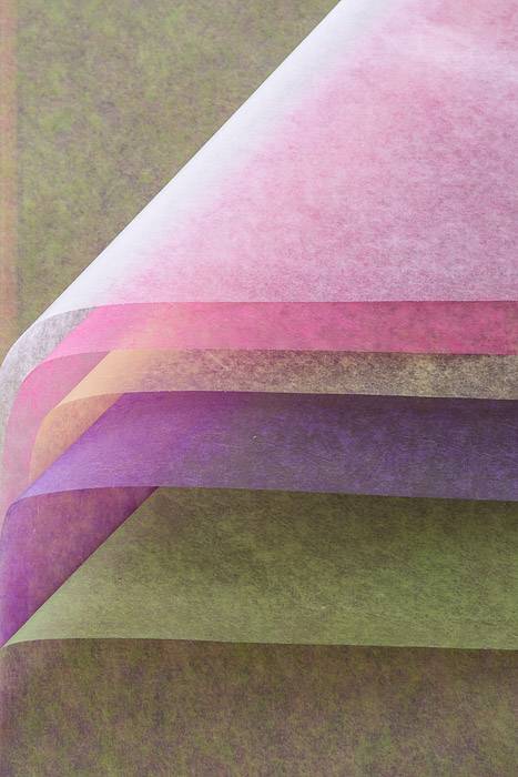 24" X 36" Waxed Tissue Sheets Botanical Mix Pkg/400