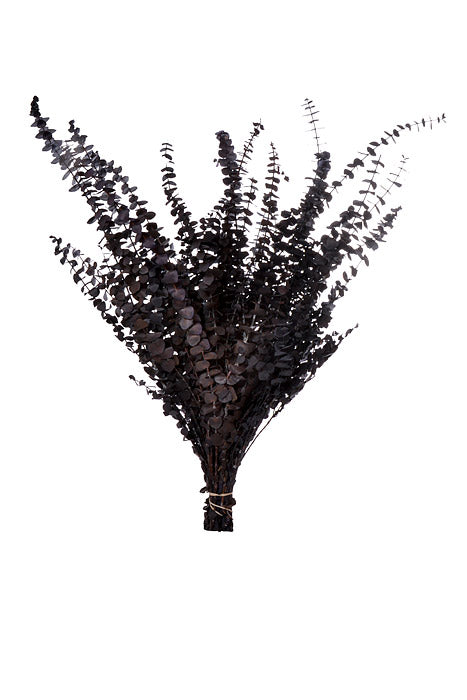 Eucalyptus Baby-Washed Purple