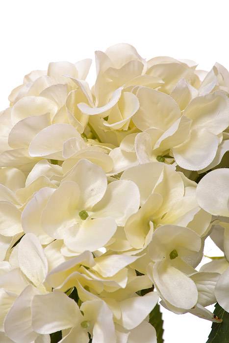 22" Silk Hydrangea Bush (Cream)