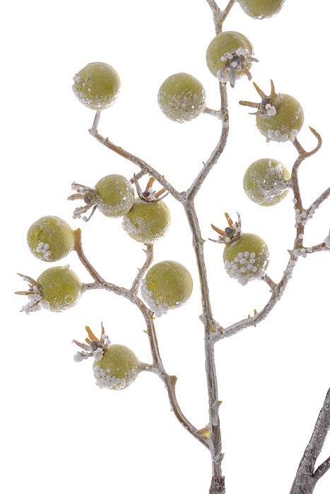 30" Frosted Snow Berry Spray Green