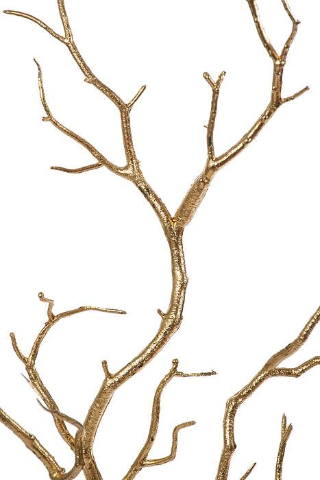 14" Manzanita Pick Gold Pkg/6