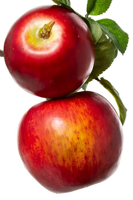 8" Apple Pick Red/green