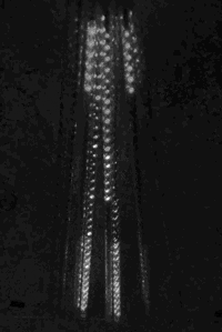 30" Led Light Sticks White 8pcs/set