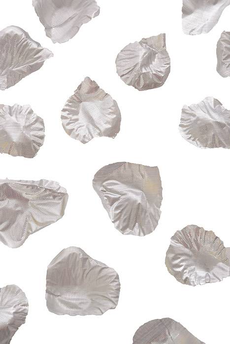 Rose Petals In Box Silver