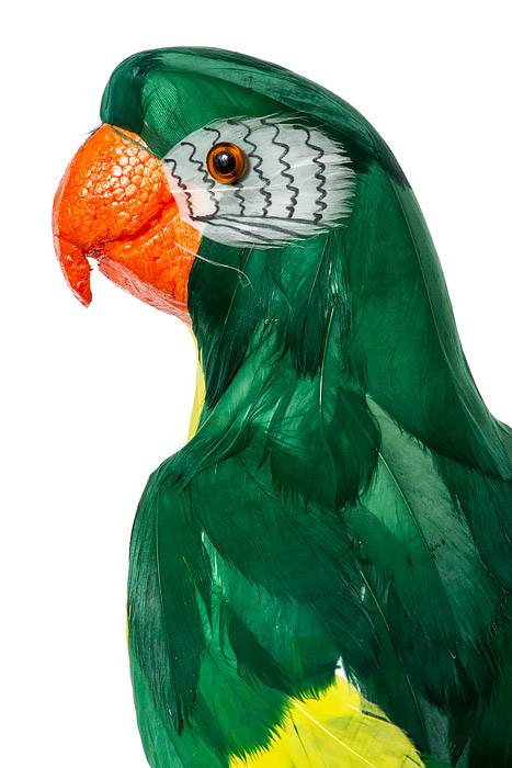 23" Feather Standing Macau Green/yellow