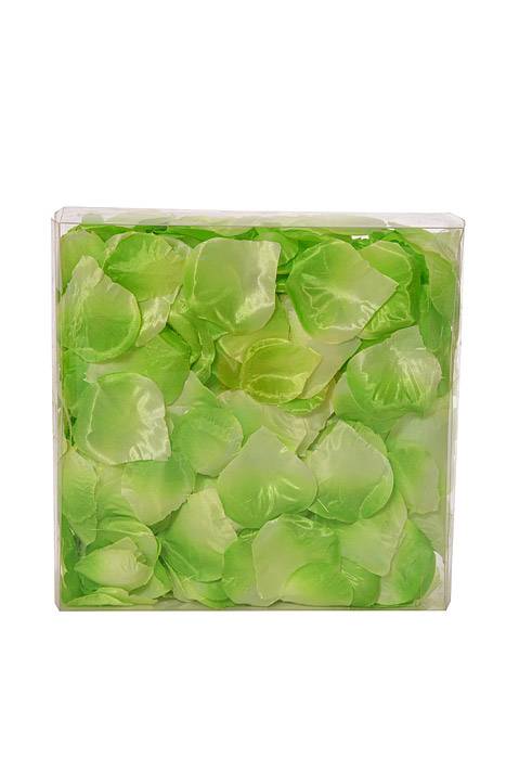 Rose Petals In Box Green