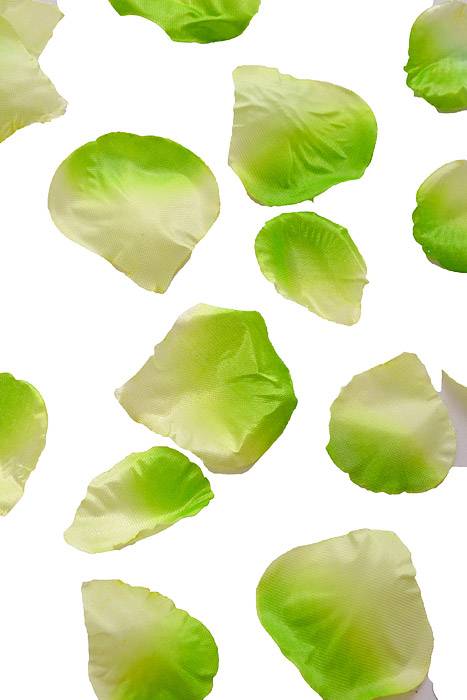 Rose Petals In Box Green