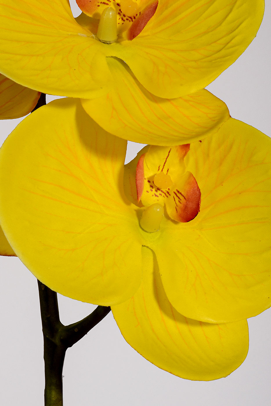 39.5" Real Touch Silk Phalaenopsis Spray Yellow
