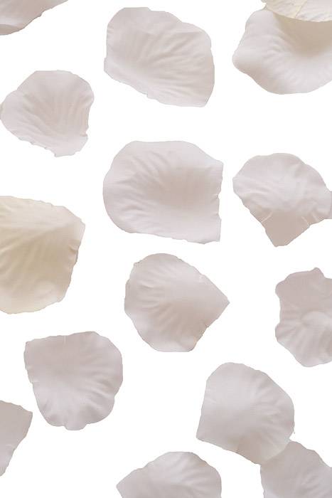 Silk Rose Petals Ivory Pkg/500