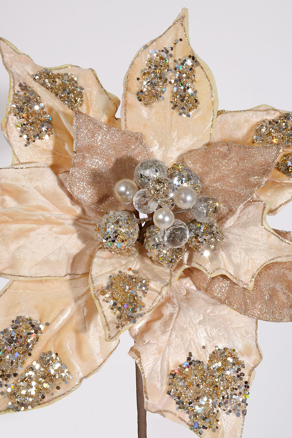 32" Grande Glamour Poinsettia Stem Champagne/Cream