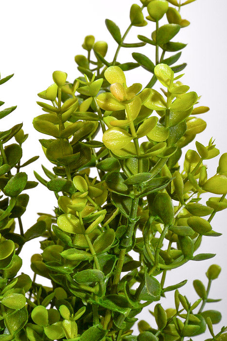 16" Plastic Eucalyptus Green