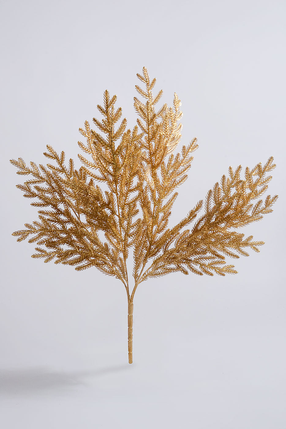 21" Pine Bush with Glitter Gold