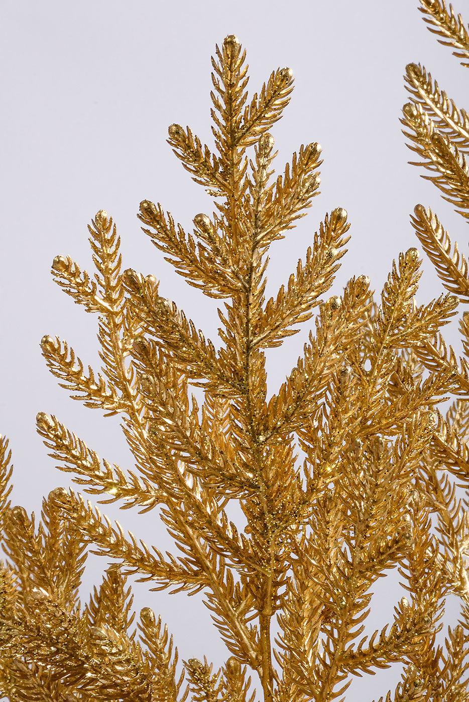 21" Pine Bush with Glitter Gold