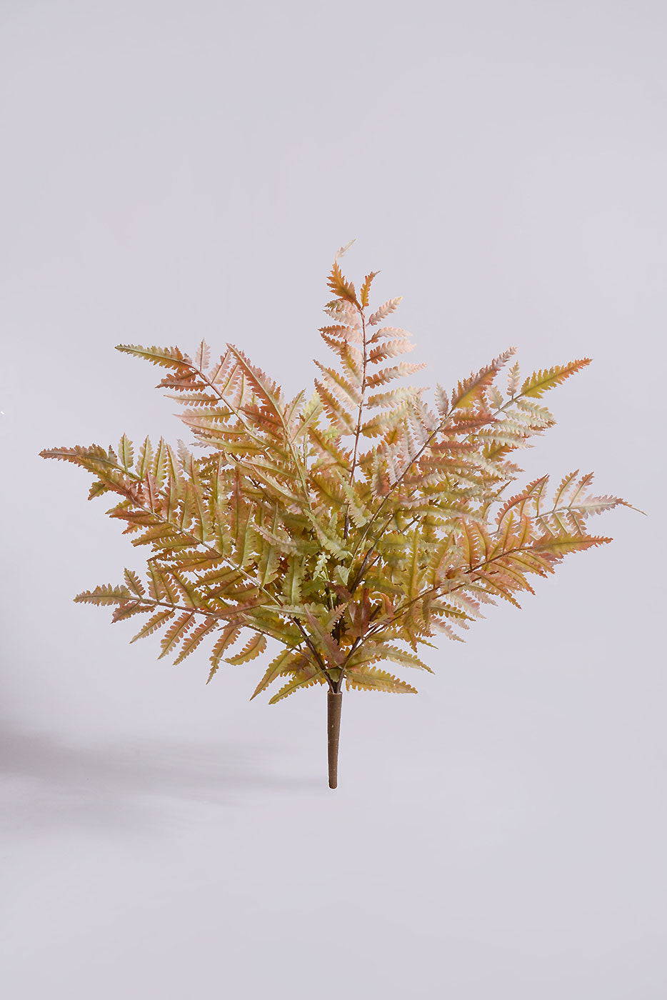 21" Fern Bush Autum