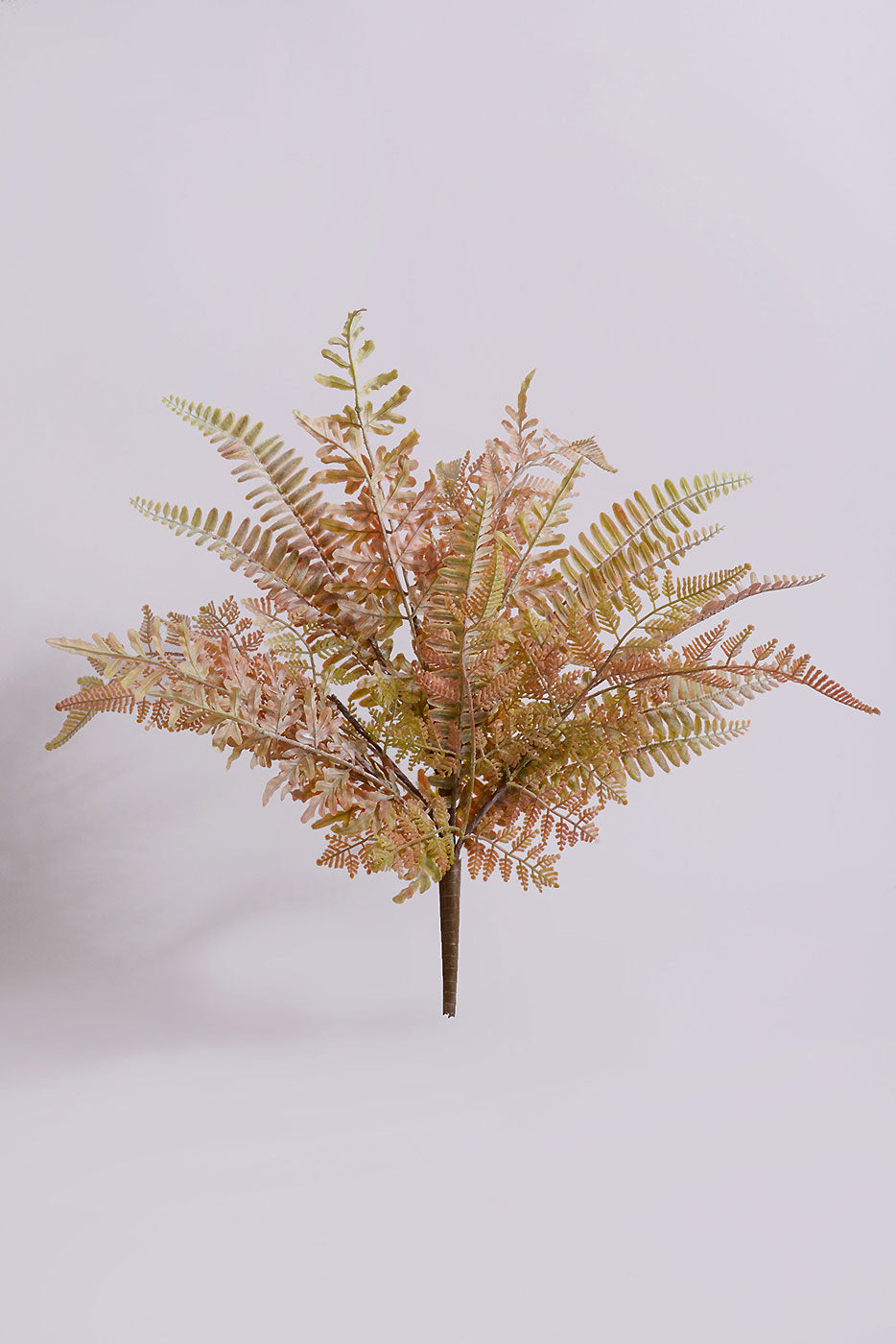 19" Mixed Fern Bush Autum