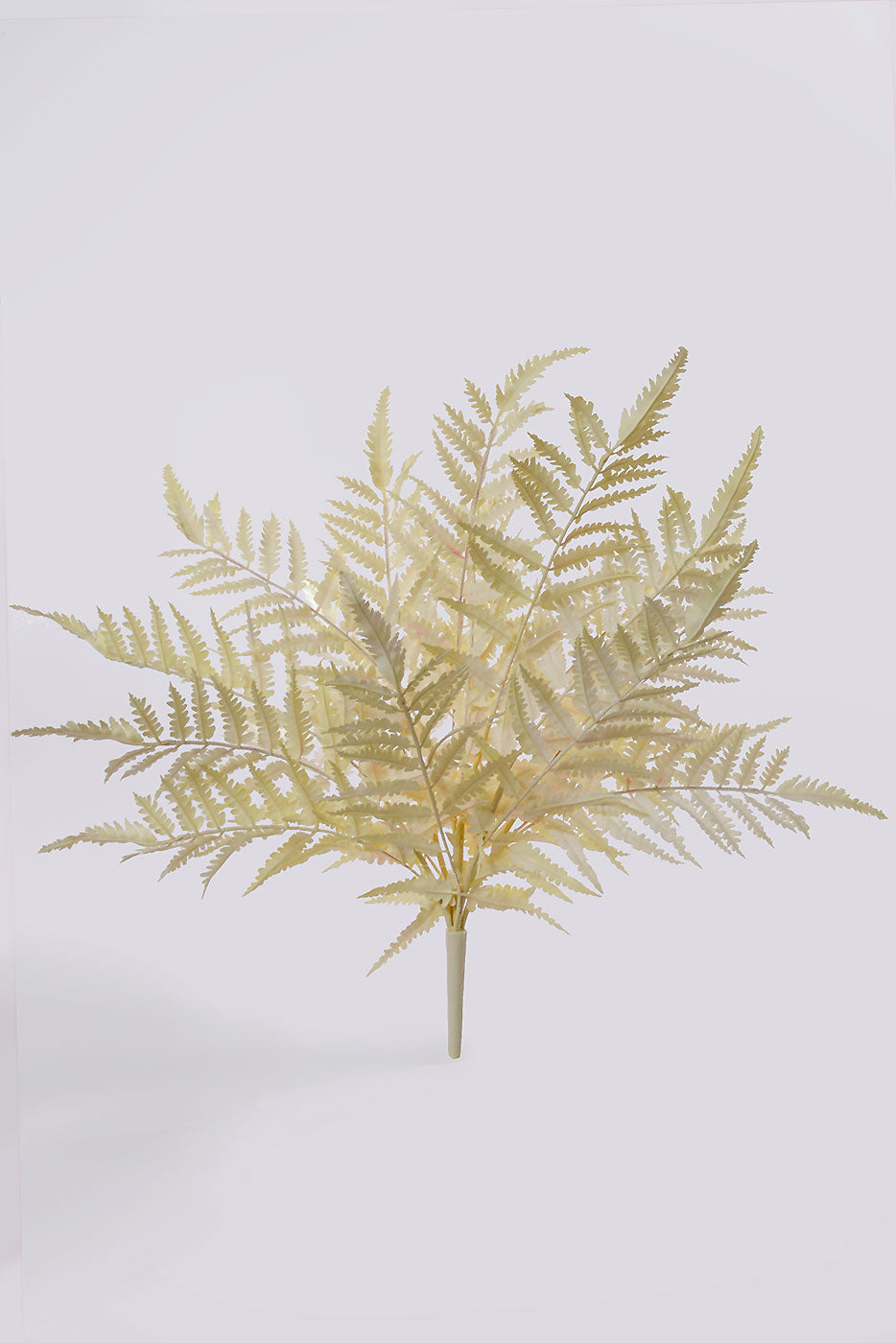 21" Fern Bush Cream