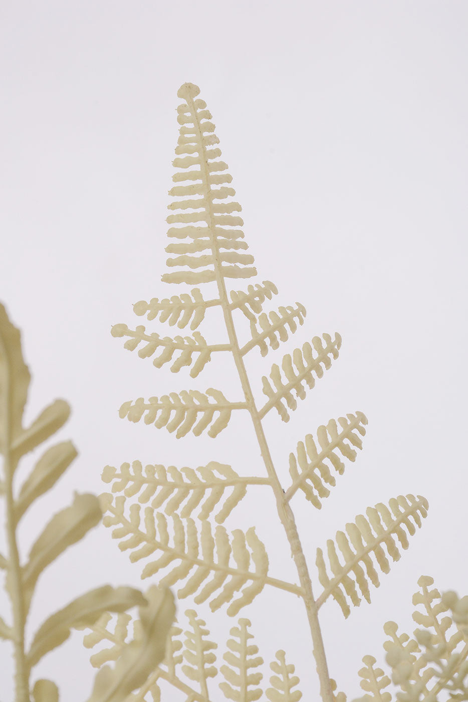 19" Mixed Fern Bush Cream