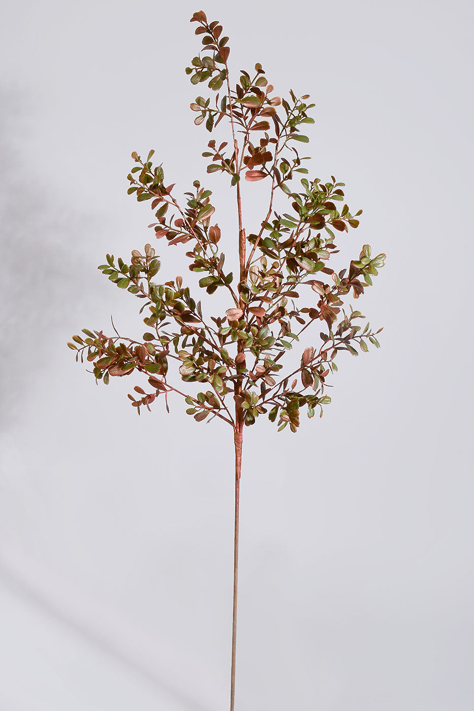 34" Glitter Boxwood Spray Copper