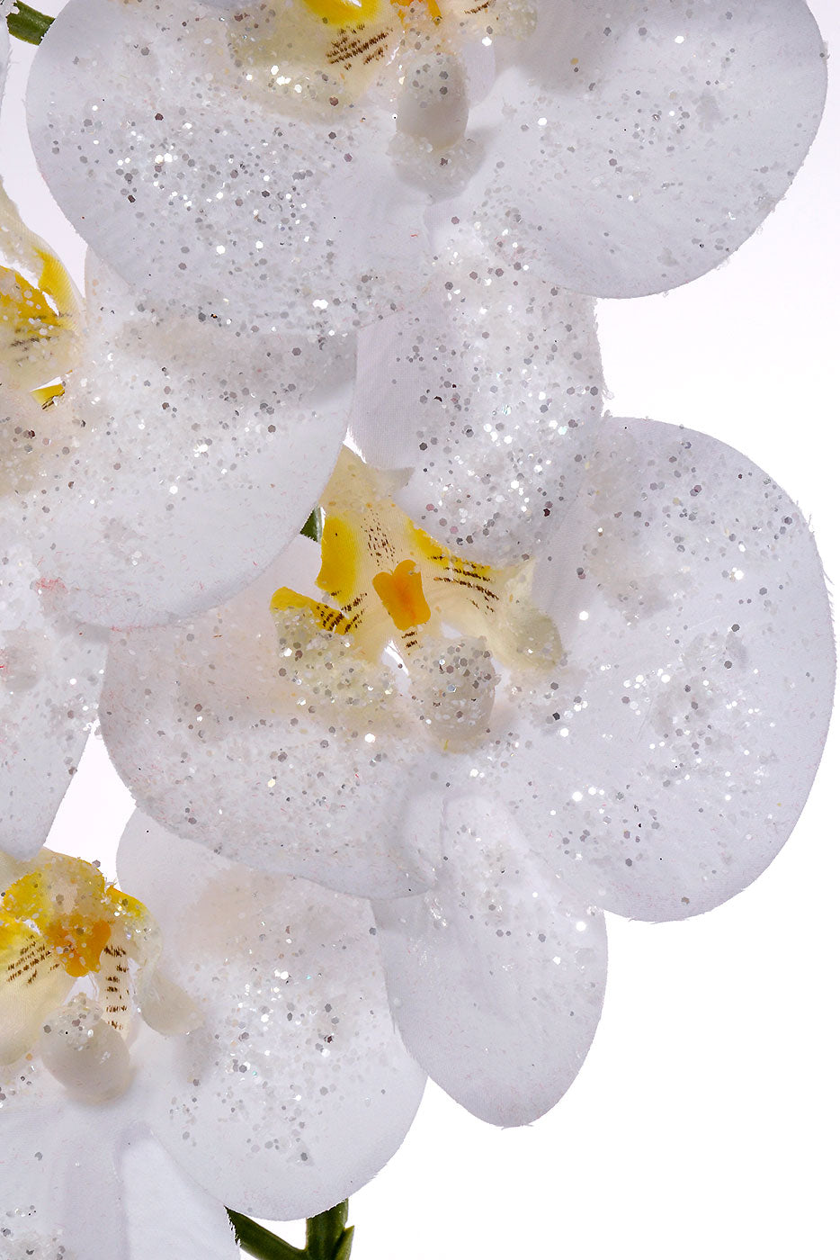 34″ Iced Phalaenopsis Spray White
