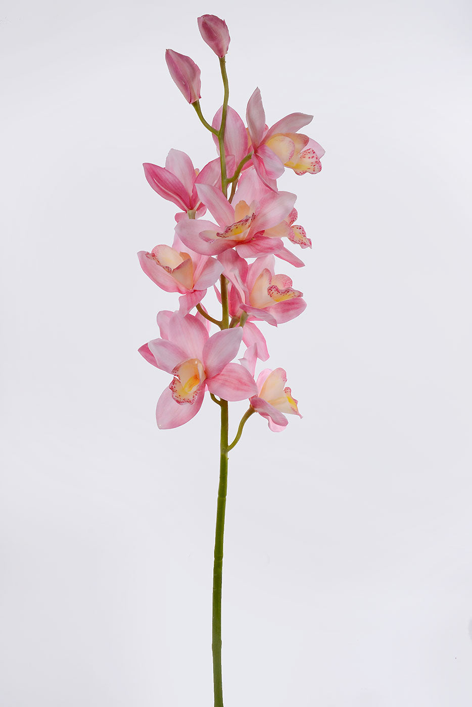 38" Silk Cymbidium Orchid Spray Pink/Yellow