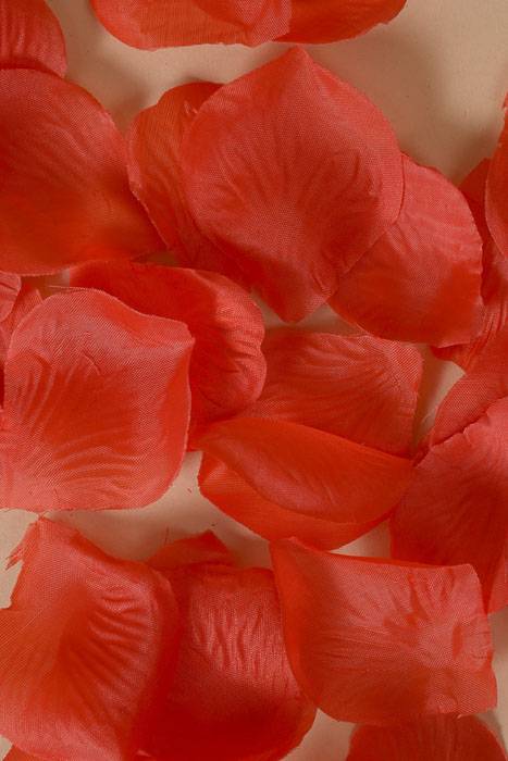 Rose Petals Red Pkg/400
