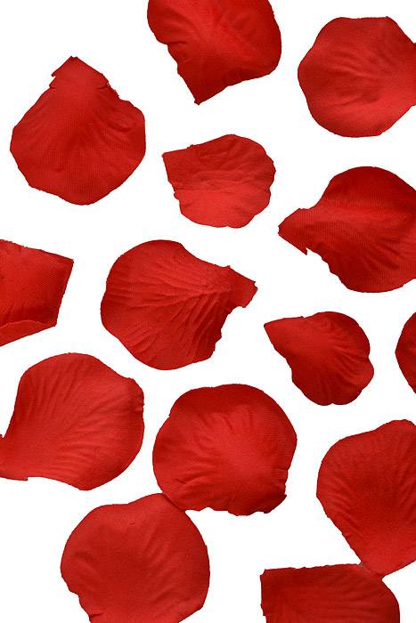 Silk Rose Petals Bright Red Pkg/500