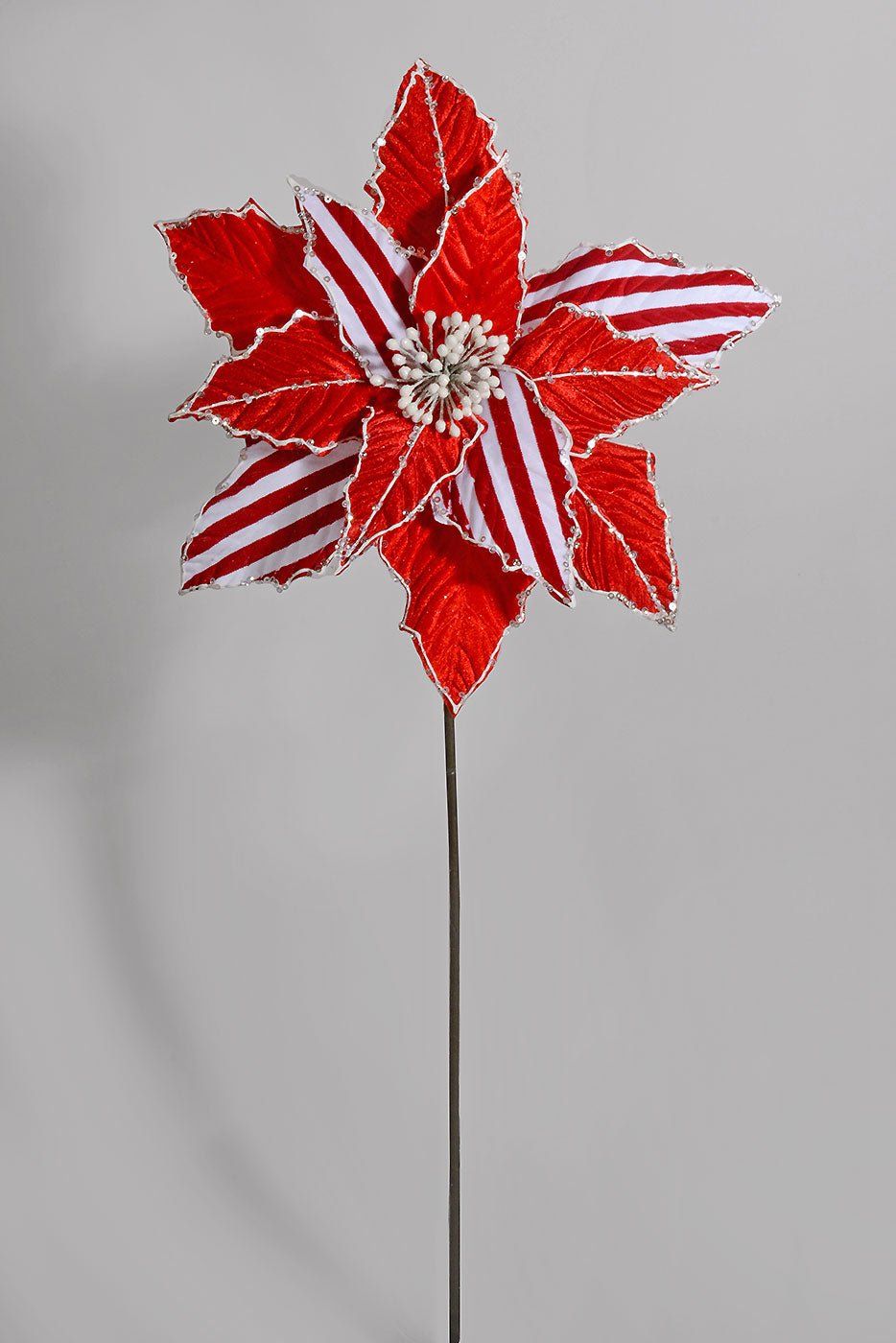27†X 12" Stripe Poinsettia Stem Red/White