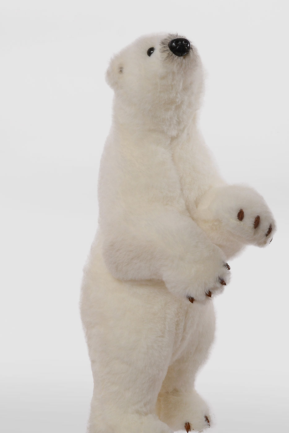 24" x 15" Bear White