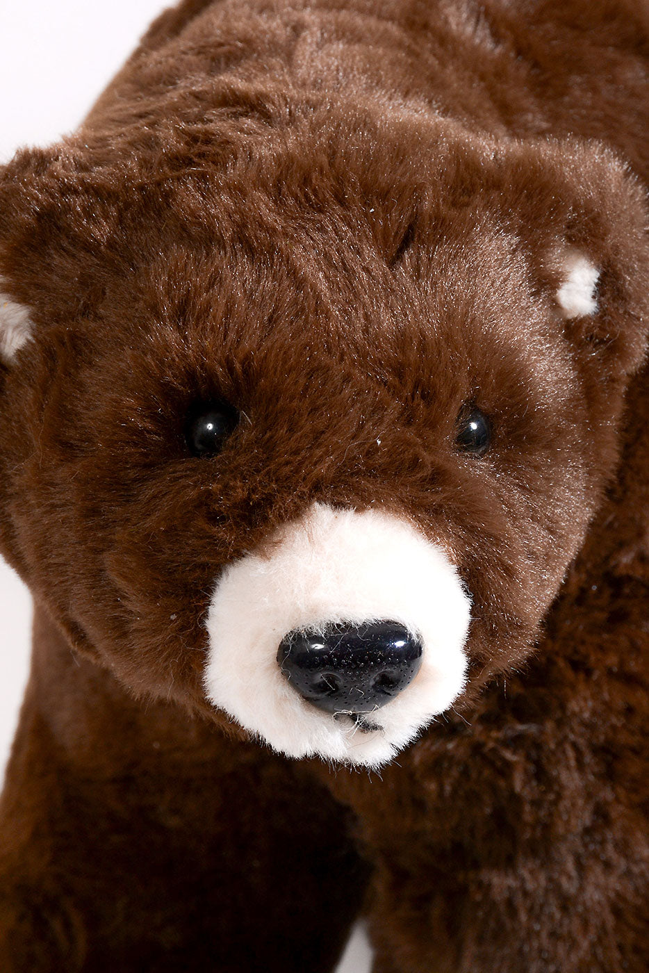 15" x 24" Bear Brown