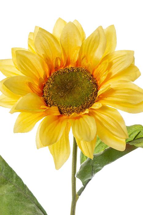 24" Silk Sunflower Spray Light Yellow