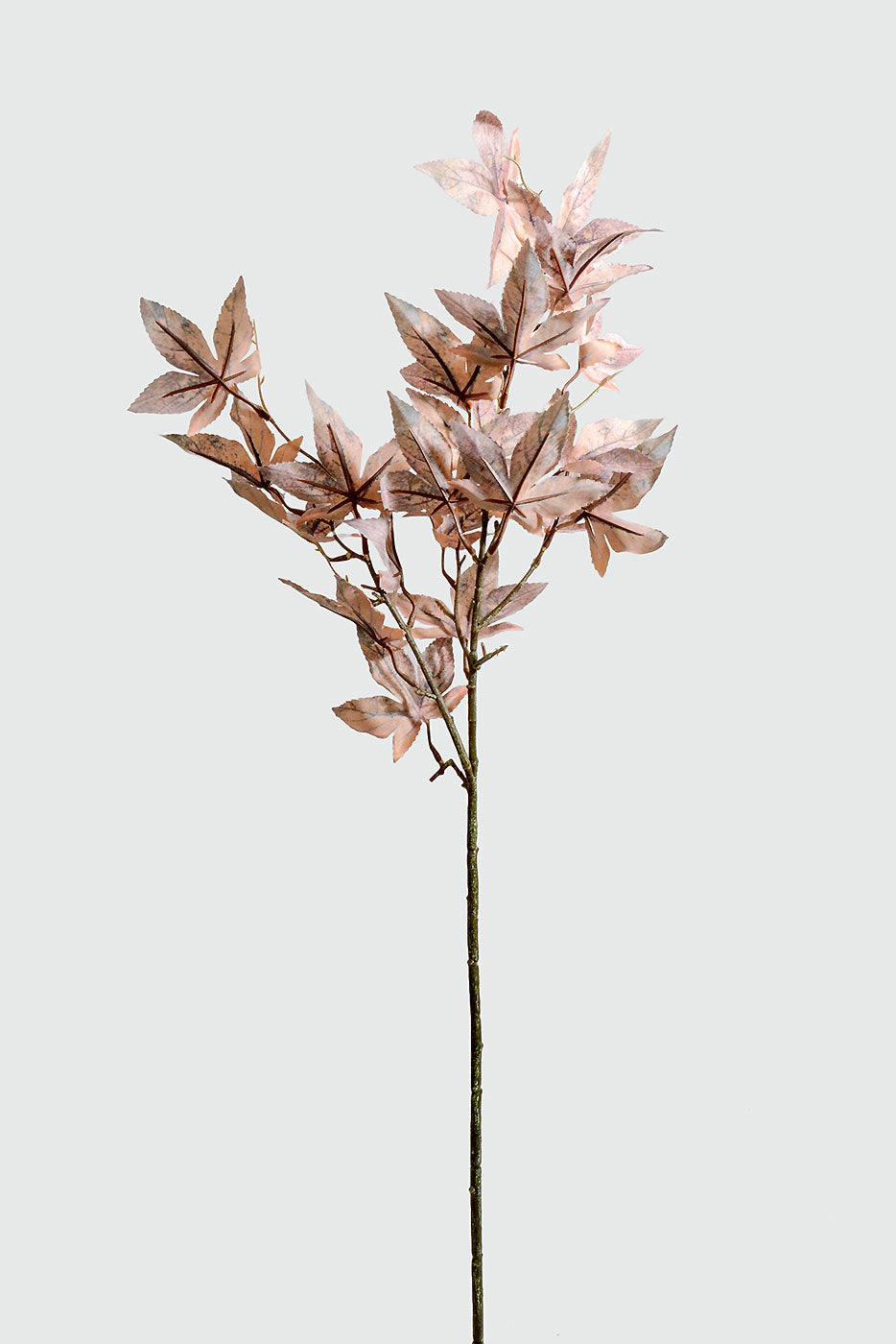 30" Canadian Maple Leaf Stem Brown