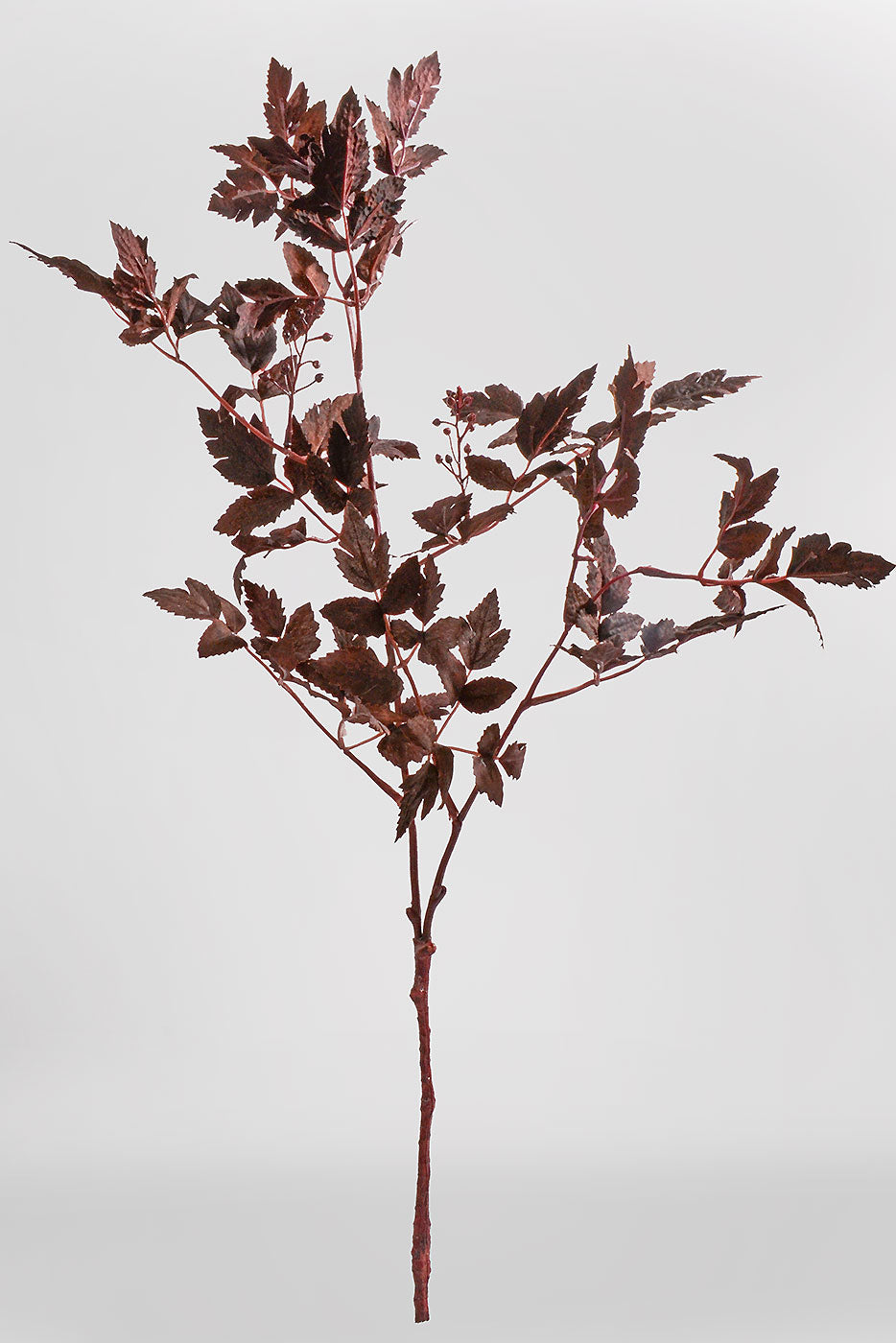 31" Autumn Ruscus With Berry Bush Plum