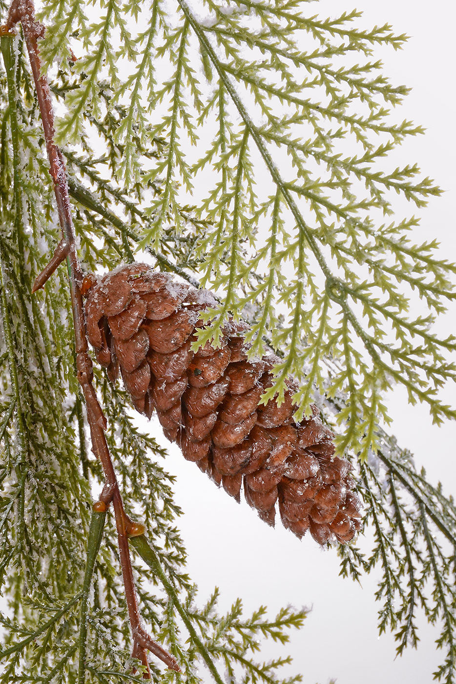 35" Winter Acacia With Cone Drop Green/White