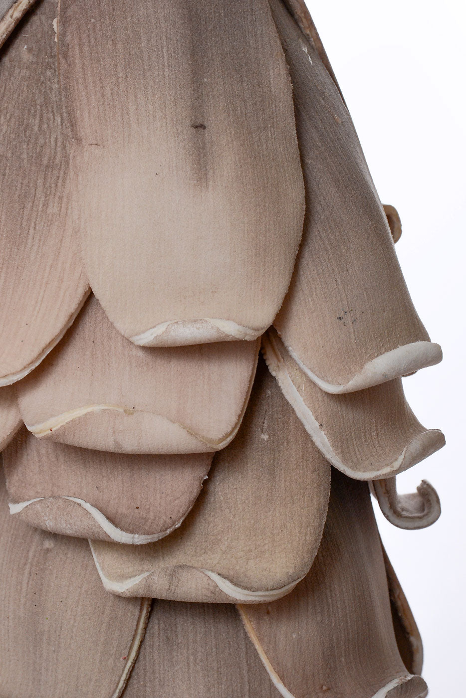 18" Foam Pinecone Brown