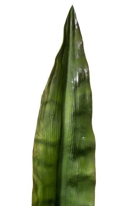 34.5" Gymea Sword Leaf Spray Green