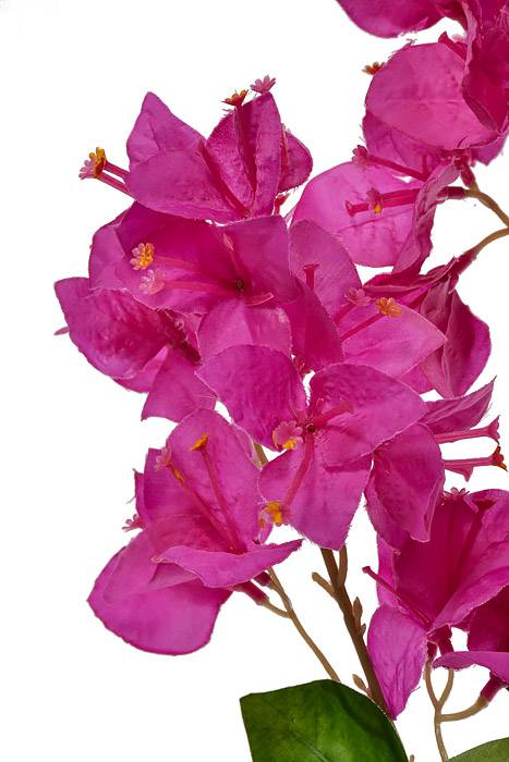 38" Bougainvillea Spray Purple