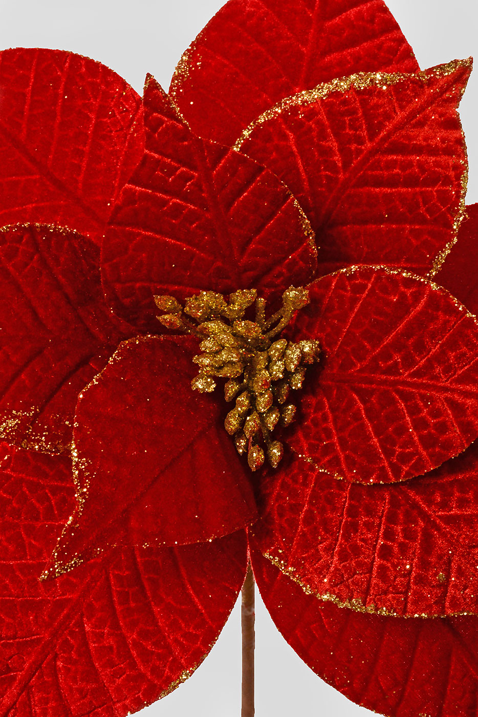 26" Velvet Leaf Poinsettia Stem Red/Gold