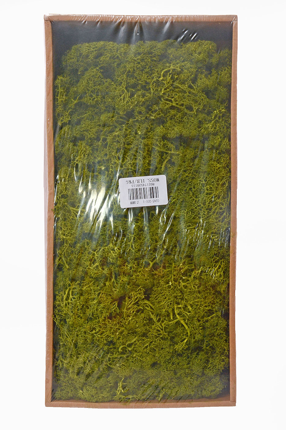 Reindeer Moss 1Lb/Pkg Light Green