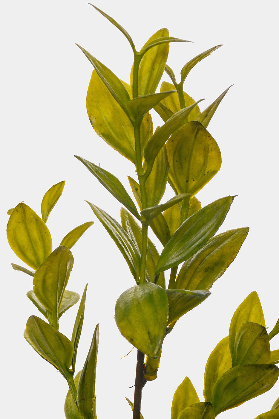 29" Artificial Leaf Spray Green