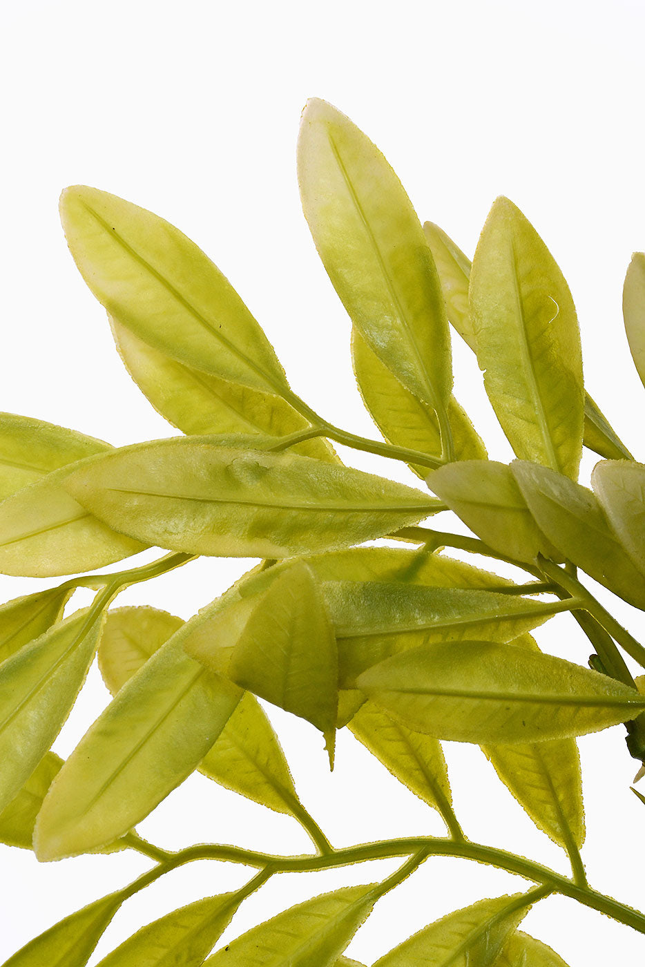 40" Artificial Ruscus Leaf Spray Yellow/Green