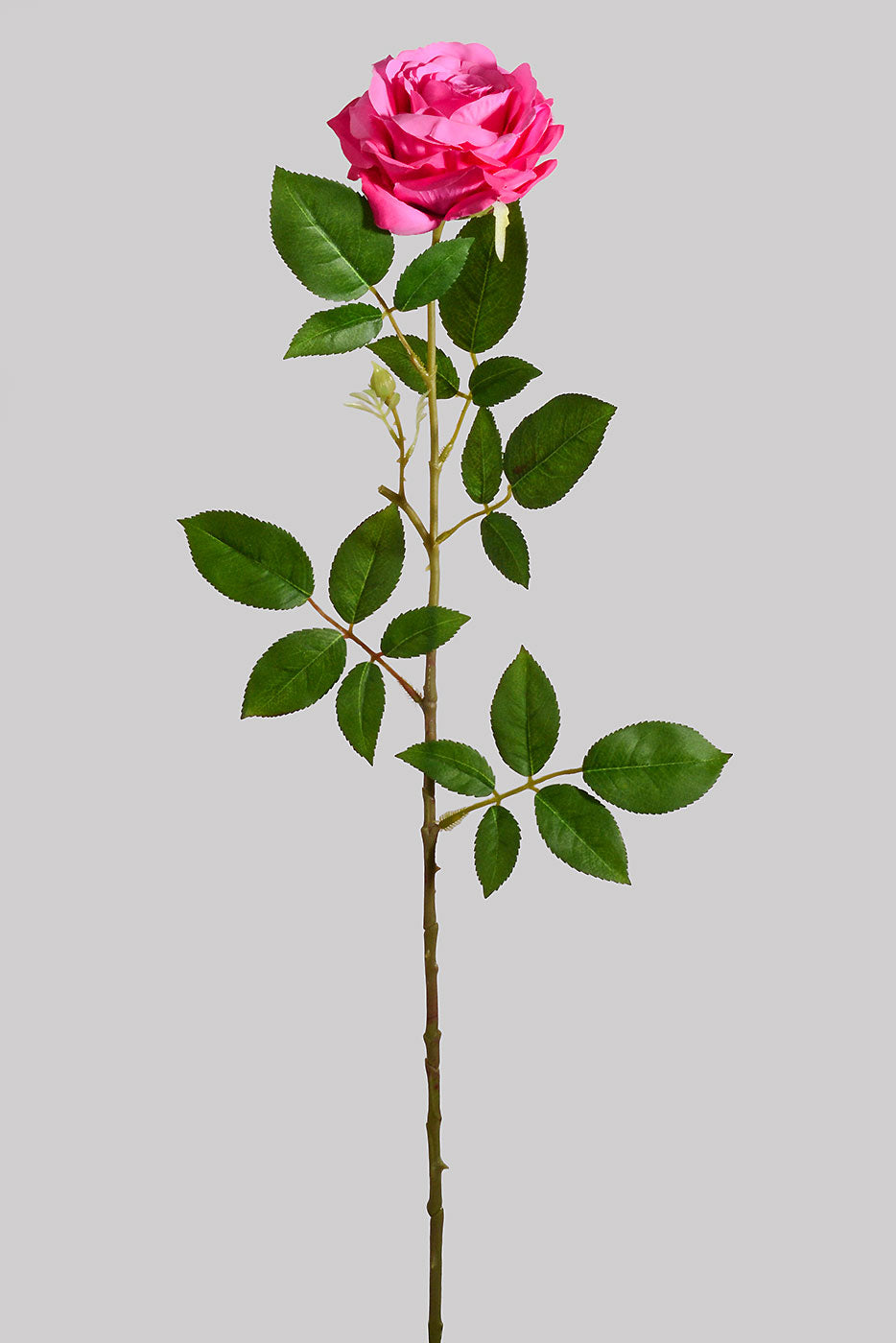 31" Silk Rose Spray Plant Fuchsia