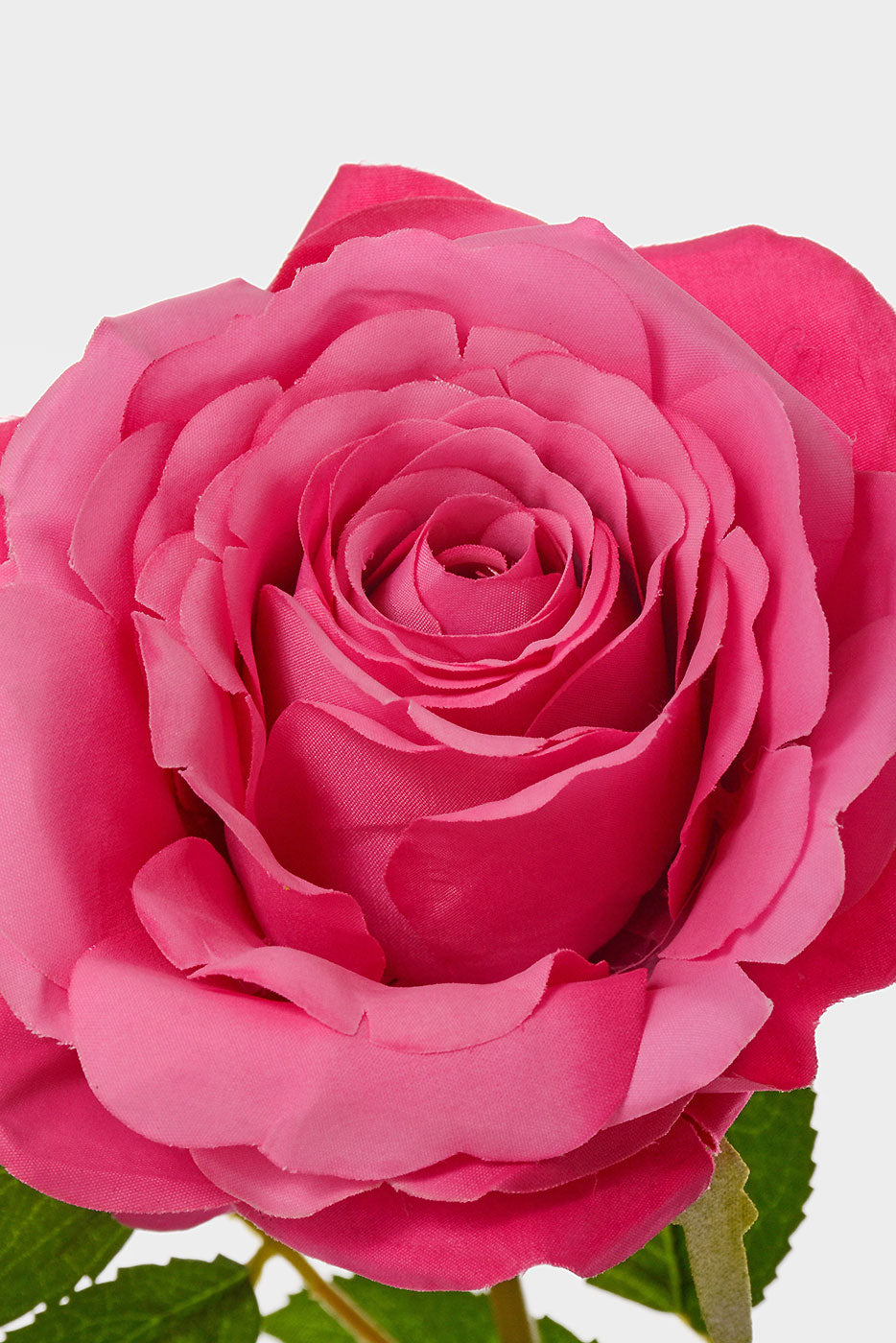 31" Silk Rose Spray Plant Fuchsia