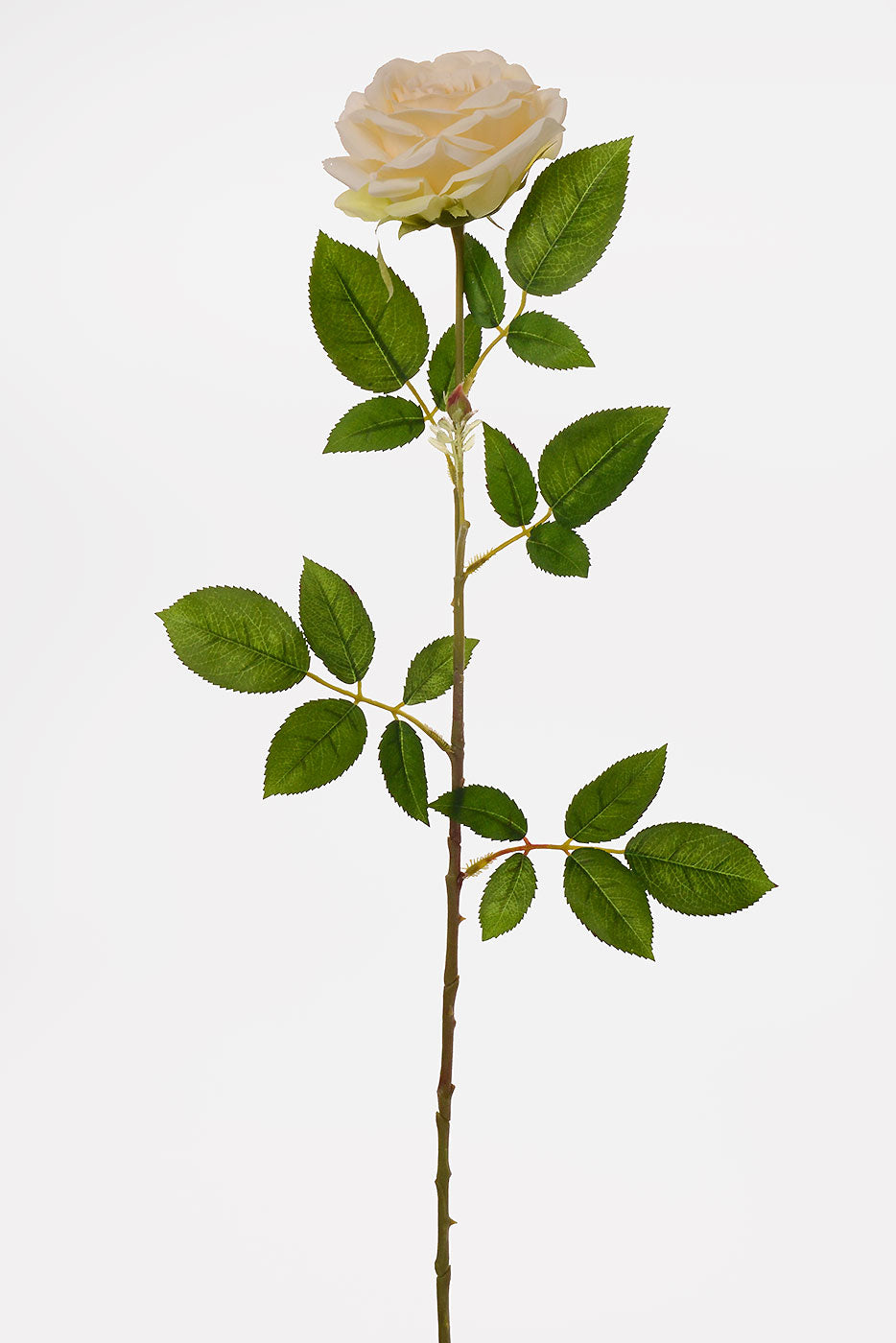 31" Silk Rose Spray Ivory