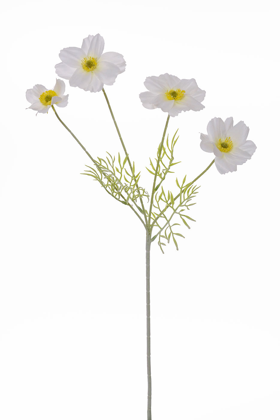 23.5" Silk Cosmos Spray White