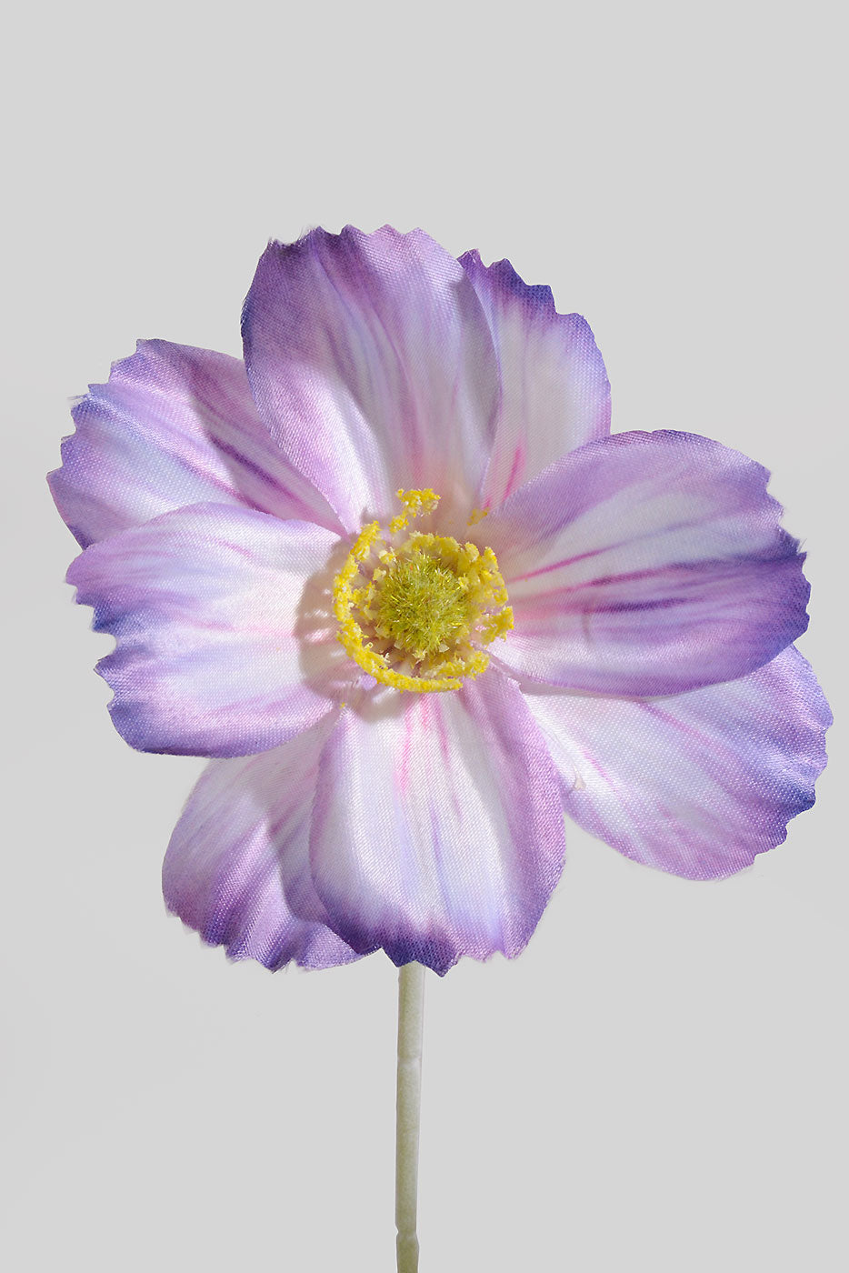 23.5" Silk Cosmos Spray Lavender